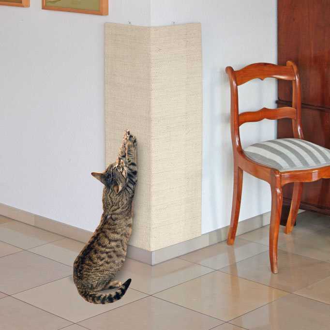 Как отучить кошку драть мебель и обои: чем обработать покрытие  | дневники ремонта obustroeno.club