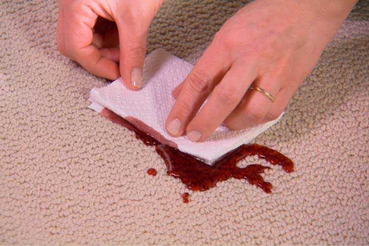 Как отмыть кровь с дивана — секреты хозяйки
