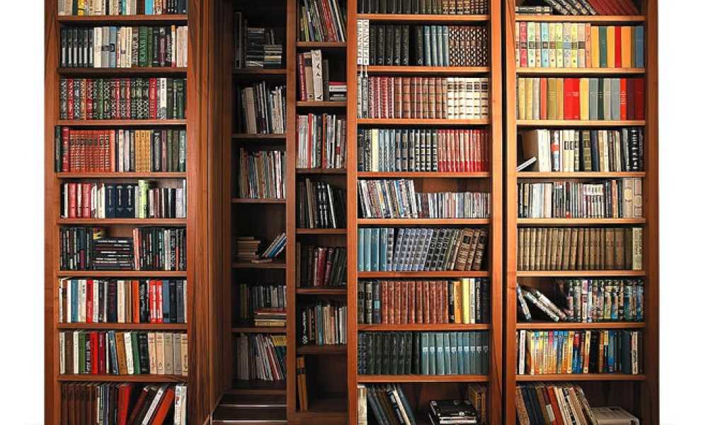 Шкаф библиотека, назначение конструкций и существующие разновидности